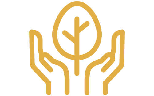 Icon of tree being held by hands